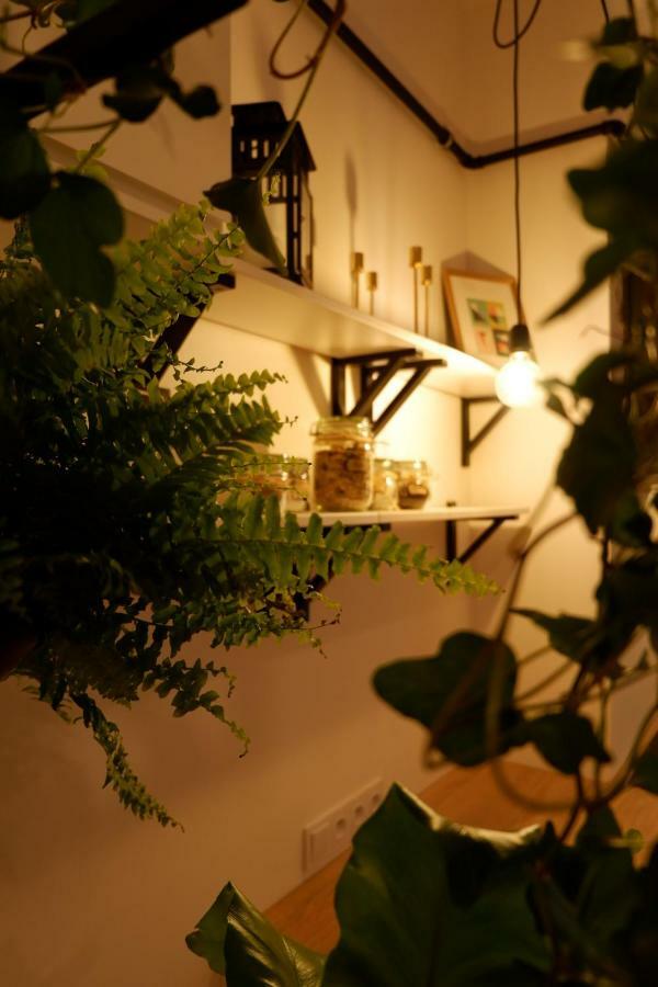 Appartement Singer Old Town *